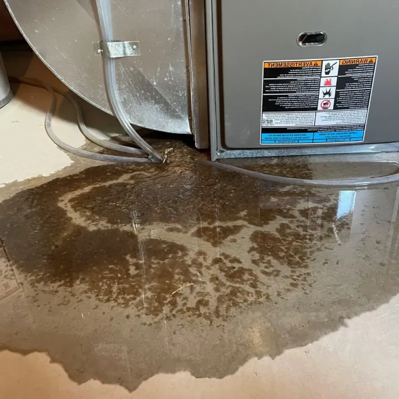 Pipe Burst and Leak Restoration in Lake Erie Beach, NY
